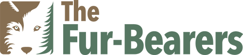Win for Wildlife Winter Wishes 50/50 Raffle